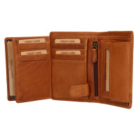 PÁNSKÁ KOŽENÁ PENĚŽENKA ALFIE HNĚDÁ