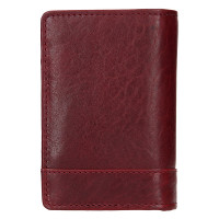 KOŽENÁ DOKLADOVKA KRIS VÍNOVÁ